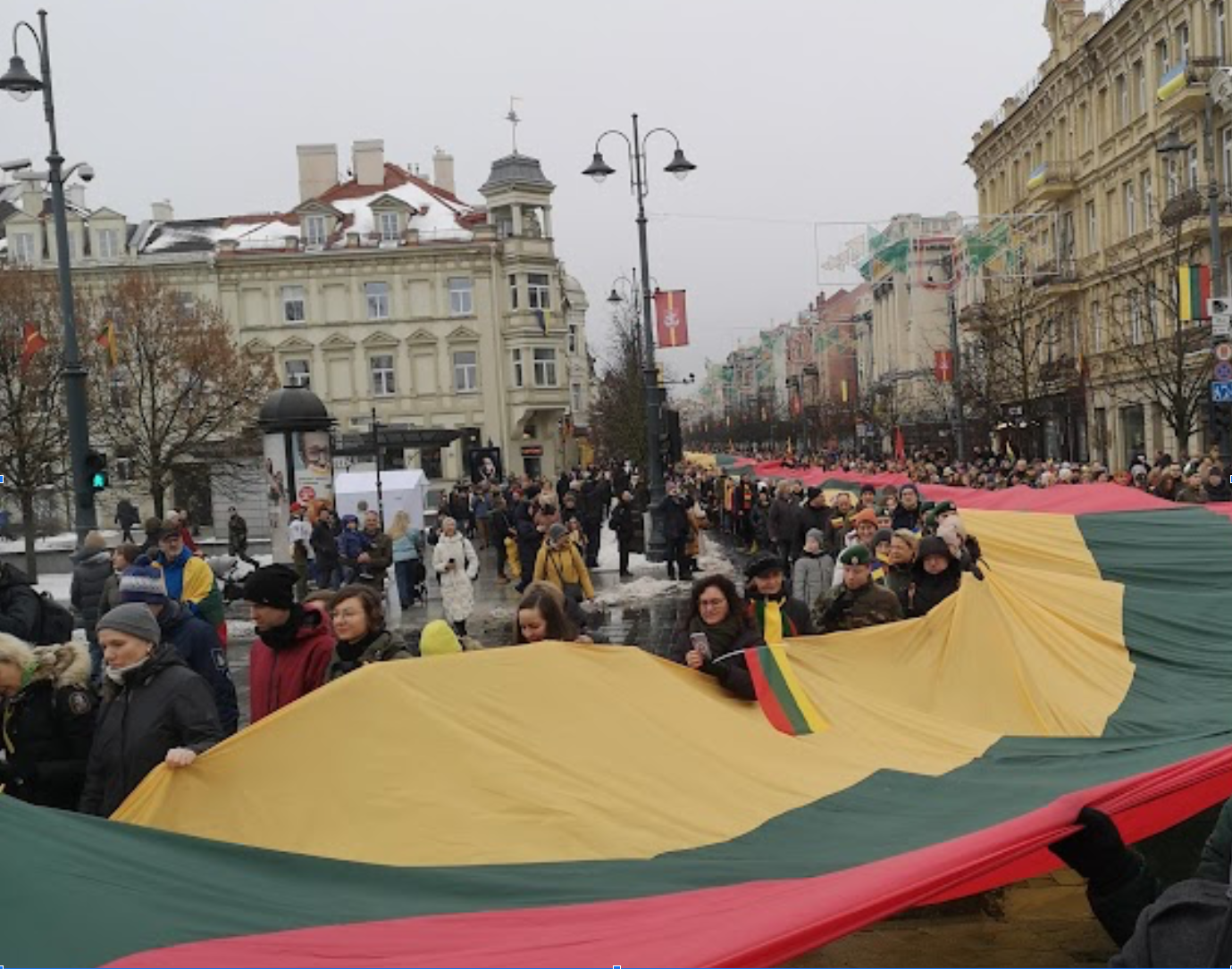 Gatvės, kurioje daugybė žmonių neša didelę nacionalinę vėliavą, vaizdas.