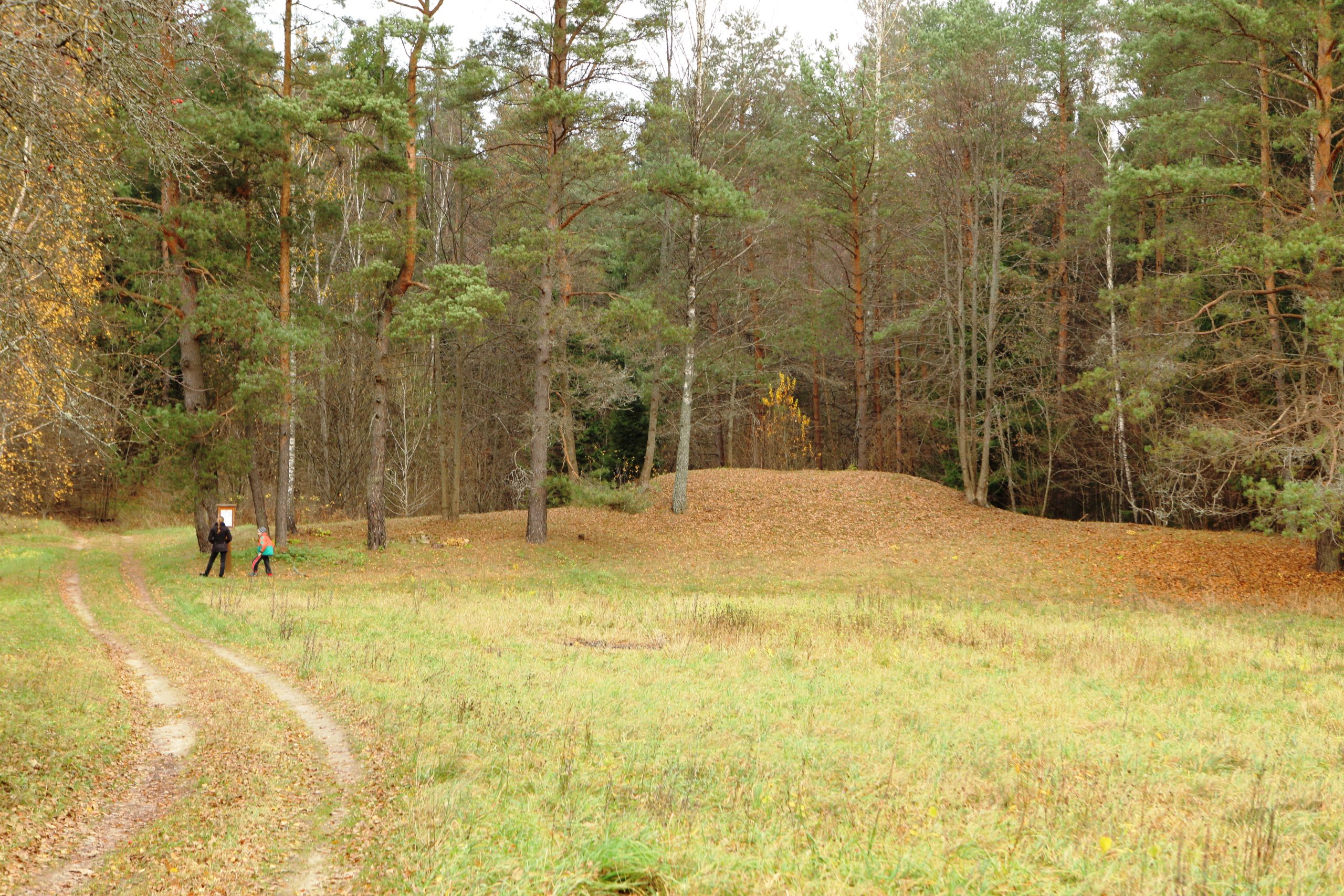 Saloviškių pilkapyno pilkapio nuotrauka