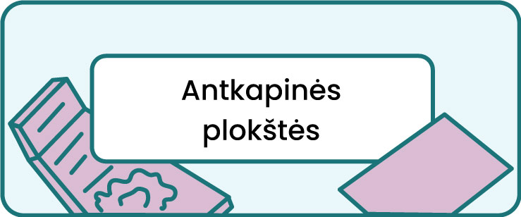 Antkapinės plokštės