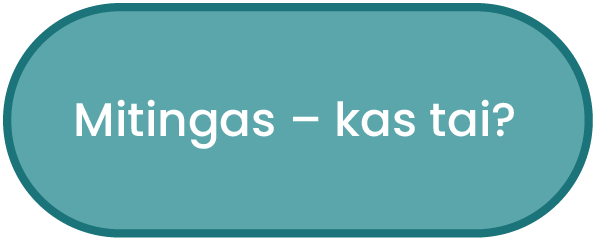 Mitingas - kas tai?